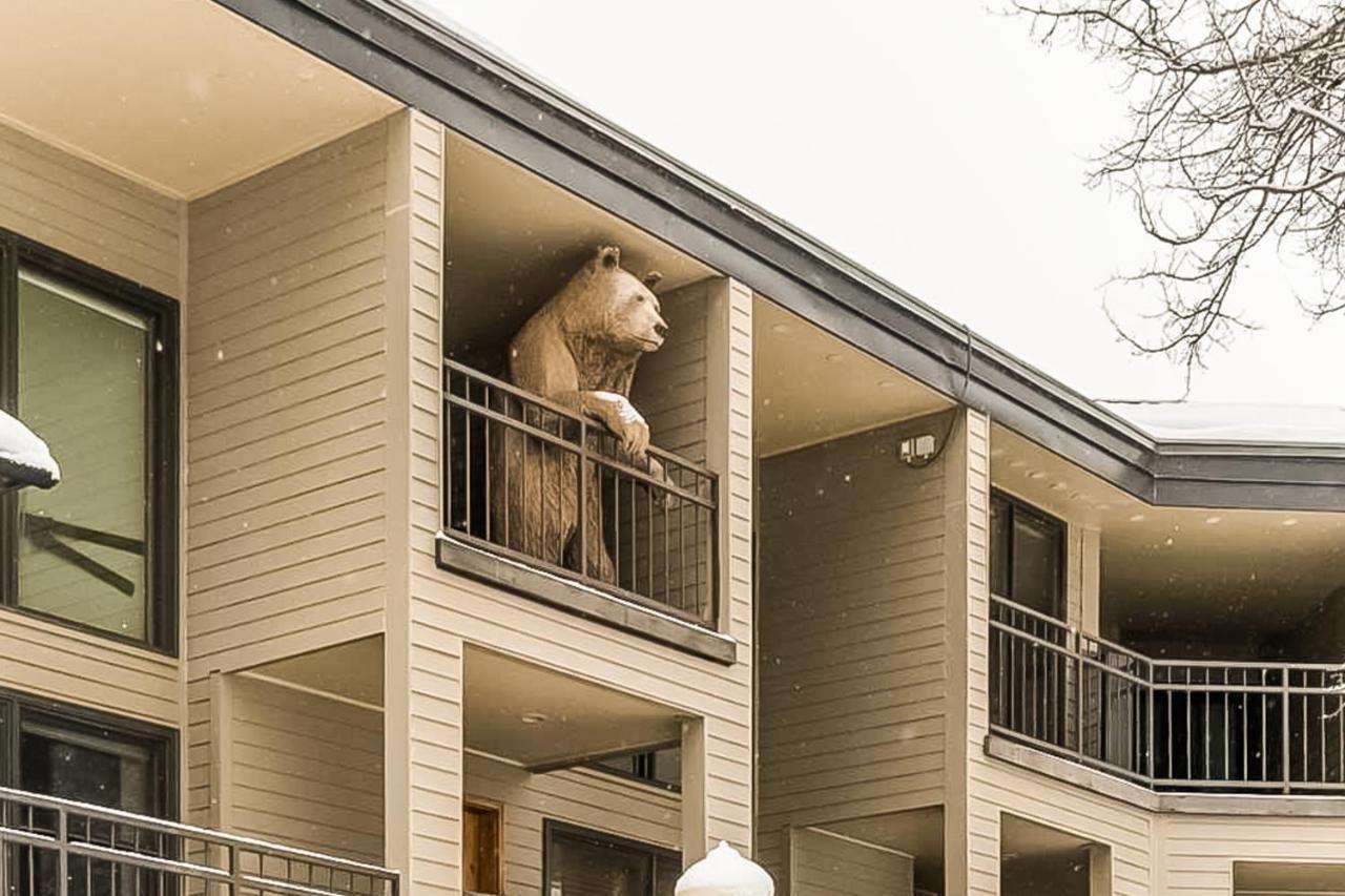 דירות טלורייד Cimarron Mountain Retreat מראה חיצוני תמונה