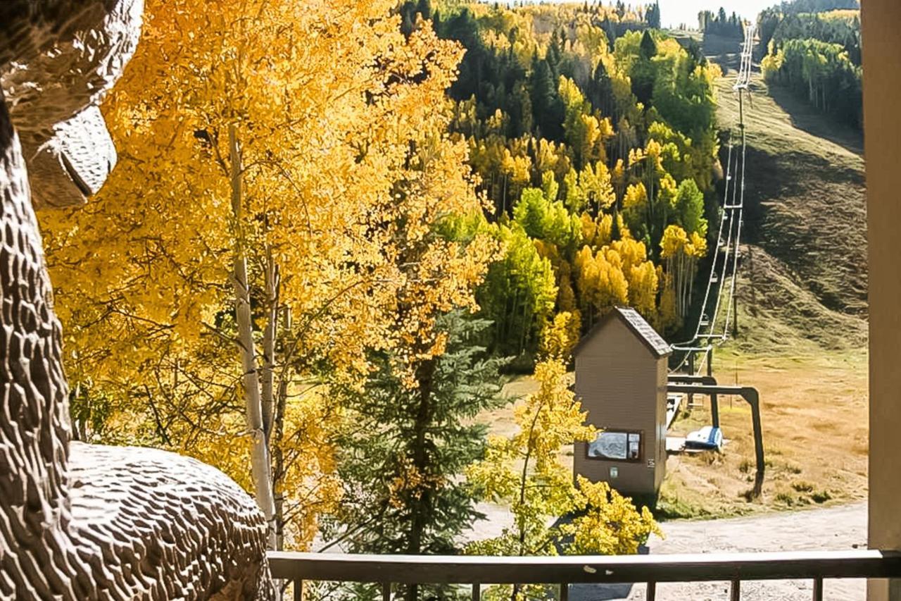 דירות טלורייד Cimarron Mountain Retreat מראה חיצוני תמונה